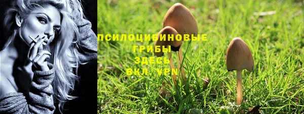 мяу мяу кристалл Нягань