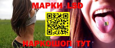 спиды Кимры
