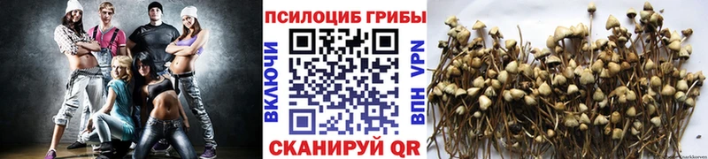 дарнет шоп  Усолье-Сибирское  Псилоцибиновые грибы Cubensis 