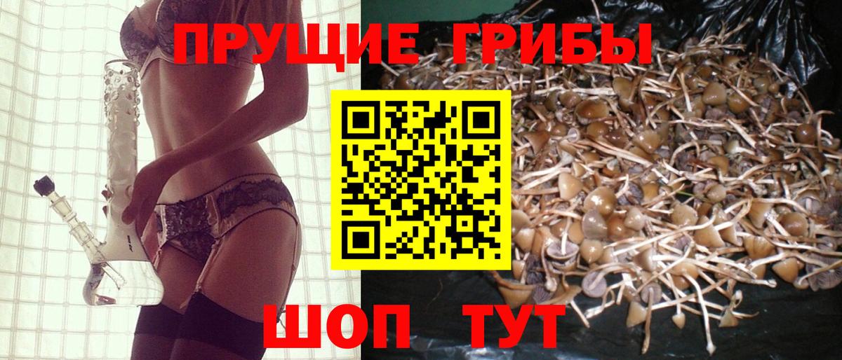 Галлюциногенные грибы мухоморы Усолье-Сибирское