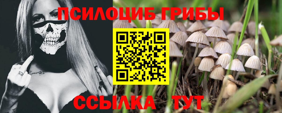 Галлюциногенные грибы мухоморы  Вход с VPN  Усолье-Сибирское 